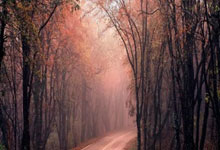 巅峰国际：[国足]中国U20男足取得亚洲杯开门红.