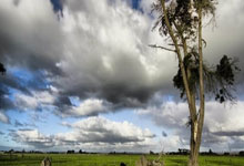 巅峰国际：大乐透2%形态今年首现 周六选号5大数据需留意.