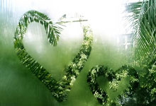 美短跑名宿约翰逊创新联赛 推动径赛运动发展.