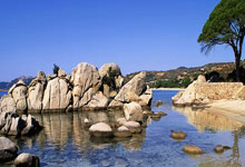 巅峰国际：字母哥独木难支 无解防守或助雷霆笑傲NBA杯.